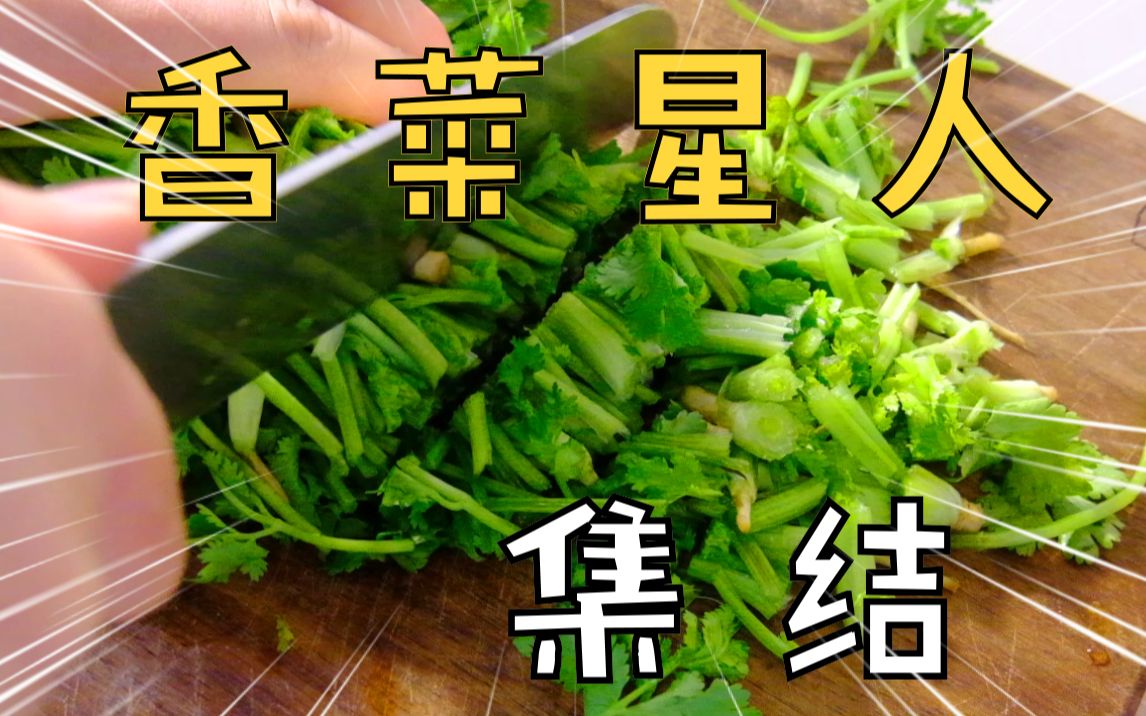 [图]【凉拌香菜】你用了魔法？！不，我加了香菜！！