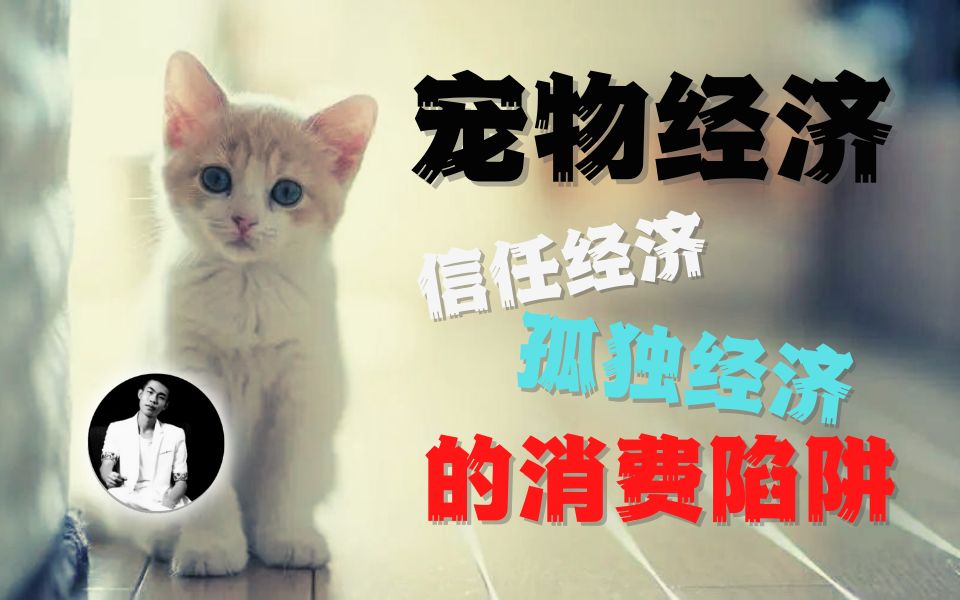 猫圈内幕揭秘,第49期,宠物经济的底层逻辑哔哩哔哩bilibili