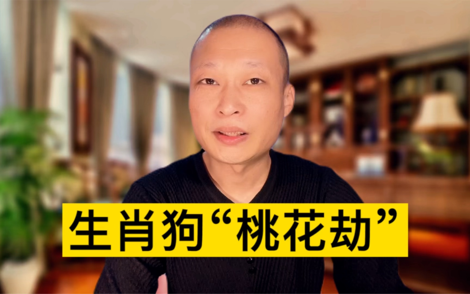 生肖狗"桃花劫!快来看看吧