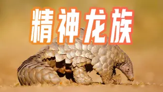 【鬼谷闲谈】穿山甲：身在兽营心向龙