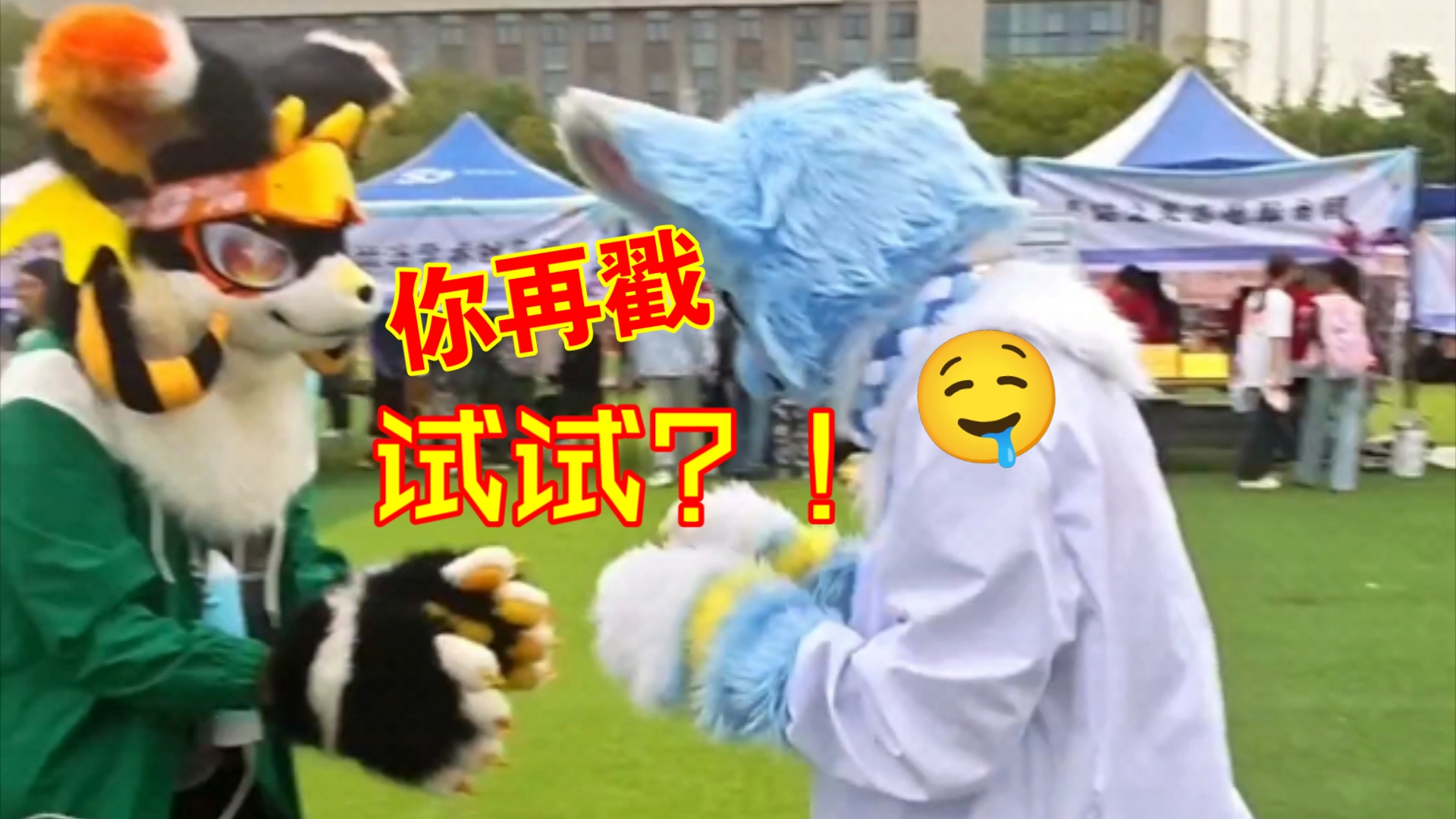 【furry】也是在湖工大与毛茸茸的兽友相聚了哔哩哔哩bilibili