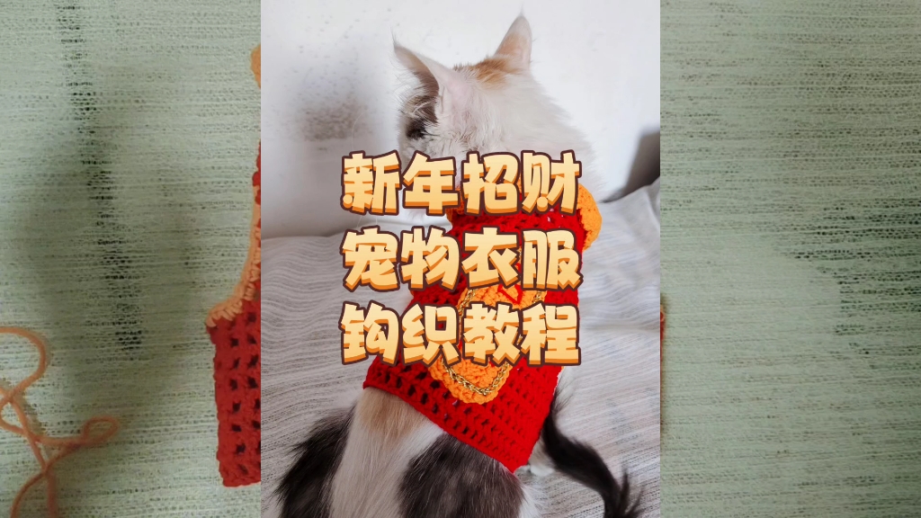 新年款宠物衣服教程 猫咪衣服钩织教程1 后续等更新哔哩哔哩bilibili