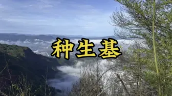 Download Video: 【种生基】种生基，大家都在喷，是鬼扯，是欺诈，但你不相信也正常，因为你的信息来源只有搜索引擎，但这个世界总有超乎你认知之外的事情