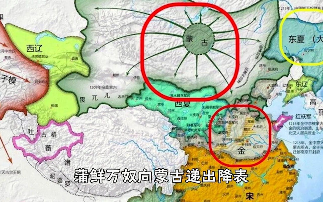 历史上不止存在西夏还有一个东夏国