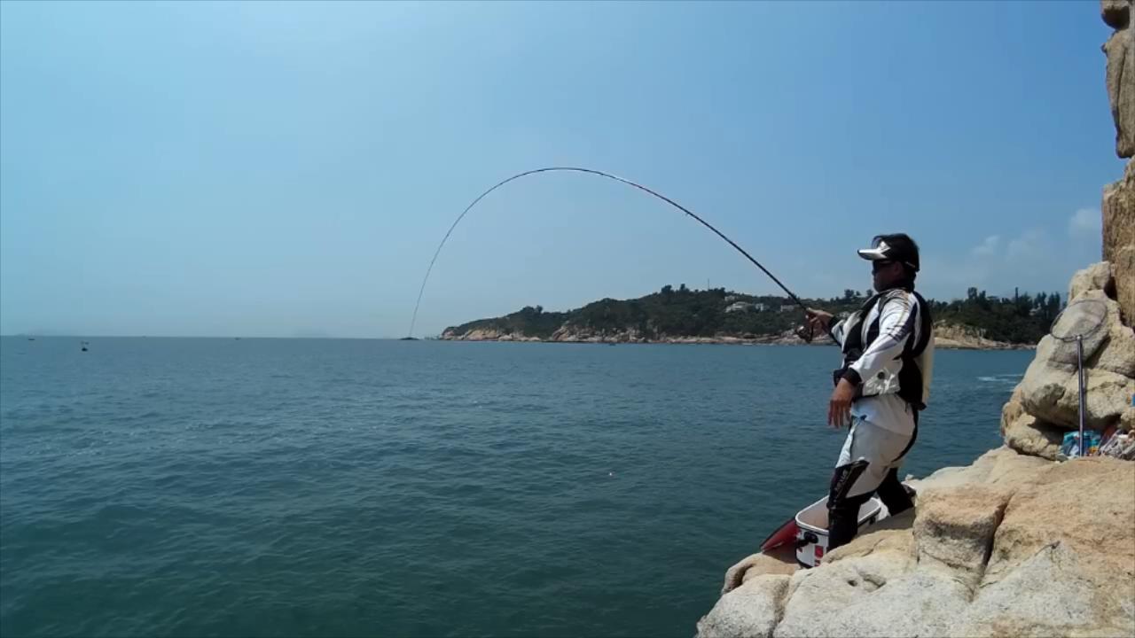 团子钓法中牛屎立,钓鱼人抽竿溜鱼一气呵成!