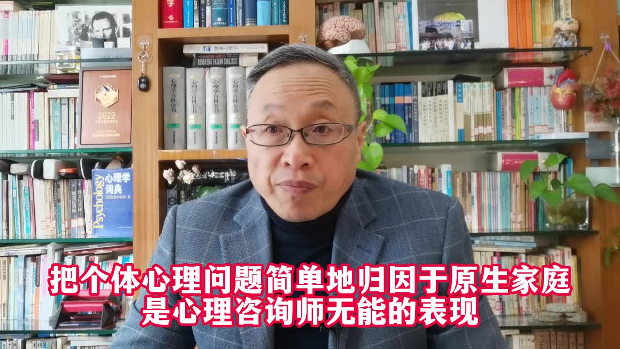 把个体心理问题简单地归因于原生家庭是心理咨询师无能的表现哔哩哔哩bilibili