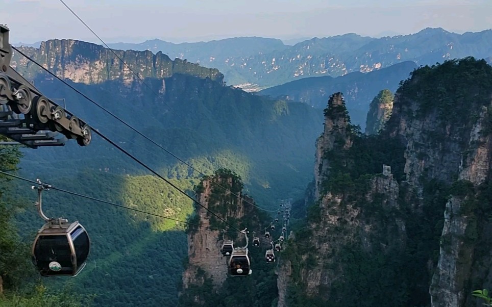 暑期游张家界森林公园(难忘的一次旅行)哔哩哔哩bilibili