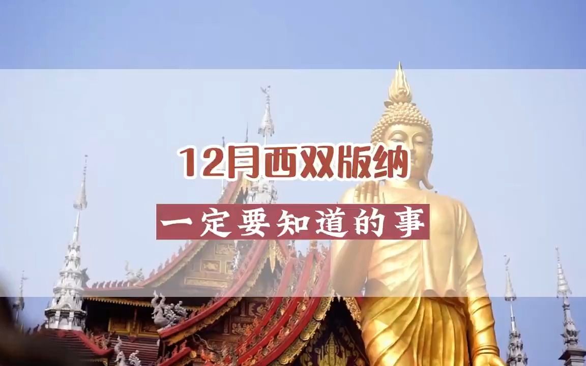 12月西双版纳一定要知道的事,西双版纳,云南旅游攻略哔哩哔哩bilibili