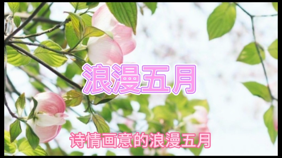 浪漫五月,奋斗五月哔哩哔哩bilibili