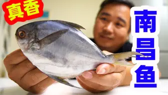 这冒充黄花姑娘的鱼 是何来头 自己有名字不用 专蹭别人名气的红古鱼了解一下 哔哩哔哩 Bilibili