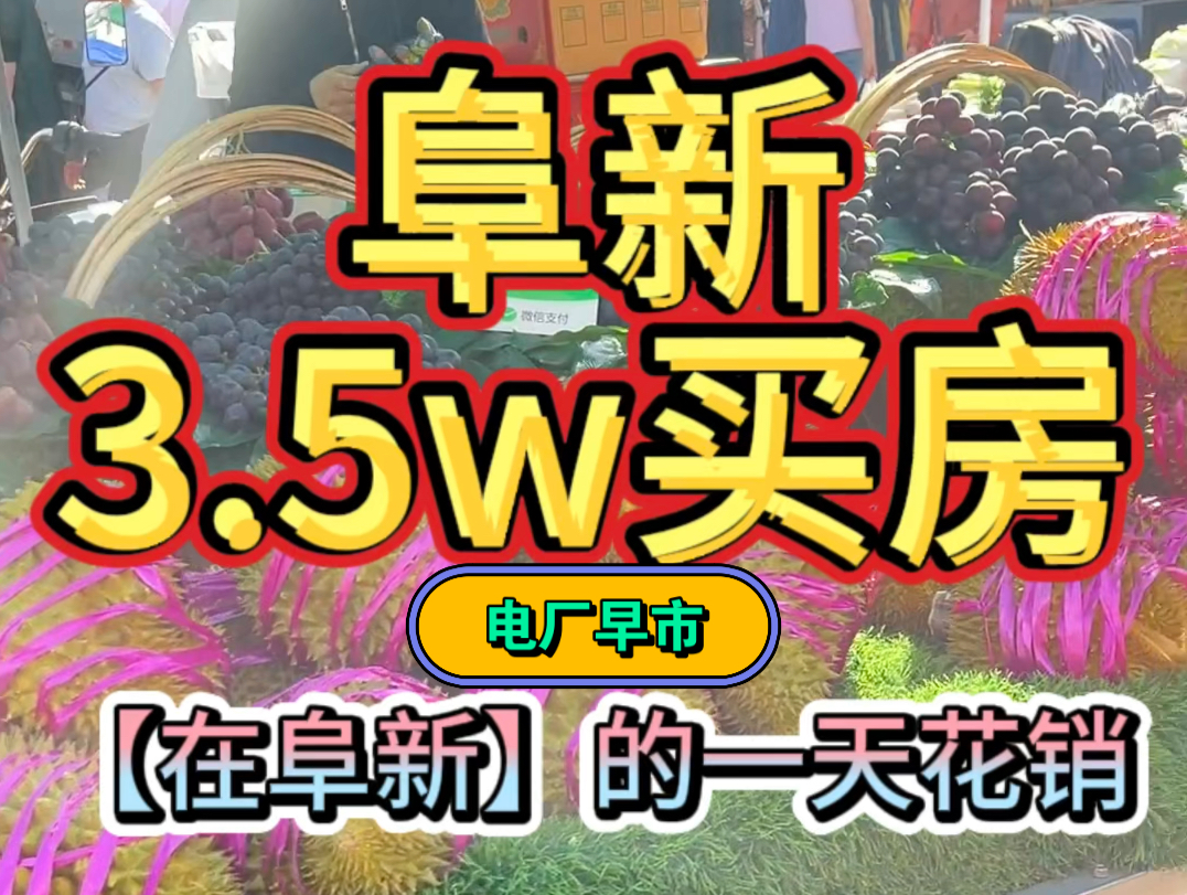 阜新3.5w买房|我一天花销53.8元,阜新物价真的挺适合躺平的哔哩哔哩bilibili