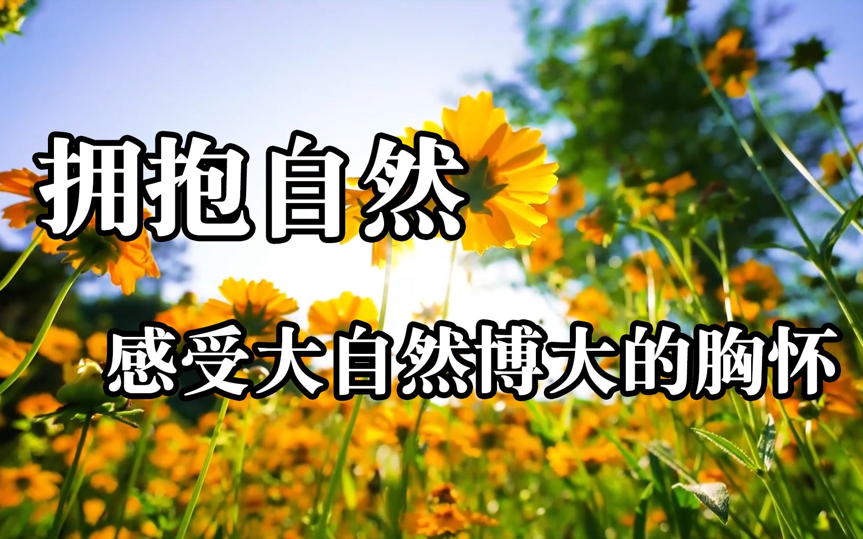 拥抱自然,感受大自然博大的胸怀!