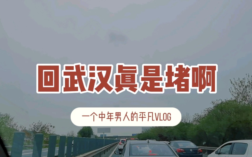 [图]荆州回武汉又开了5个小时，真是堵啊！