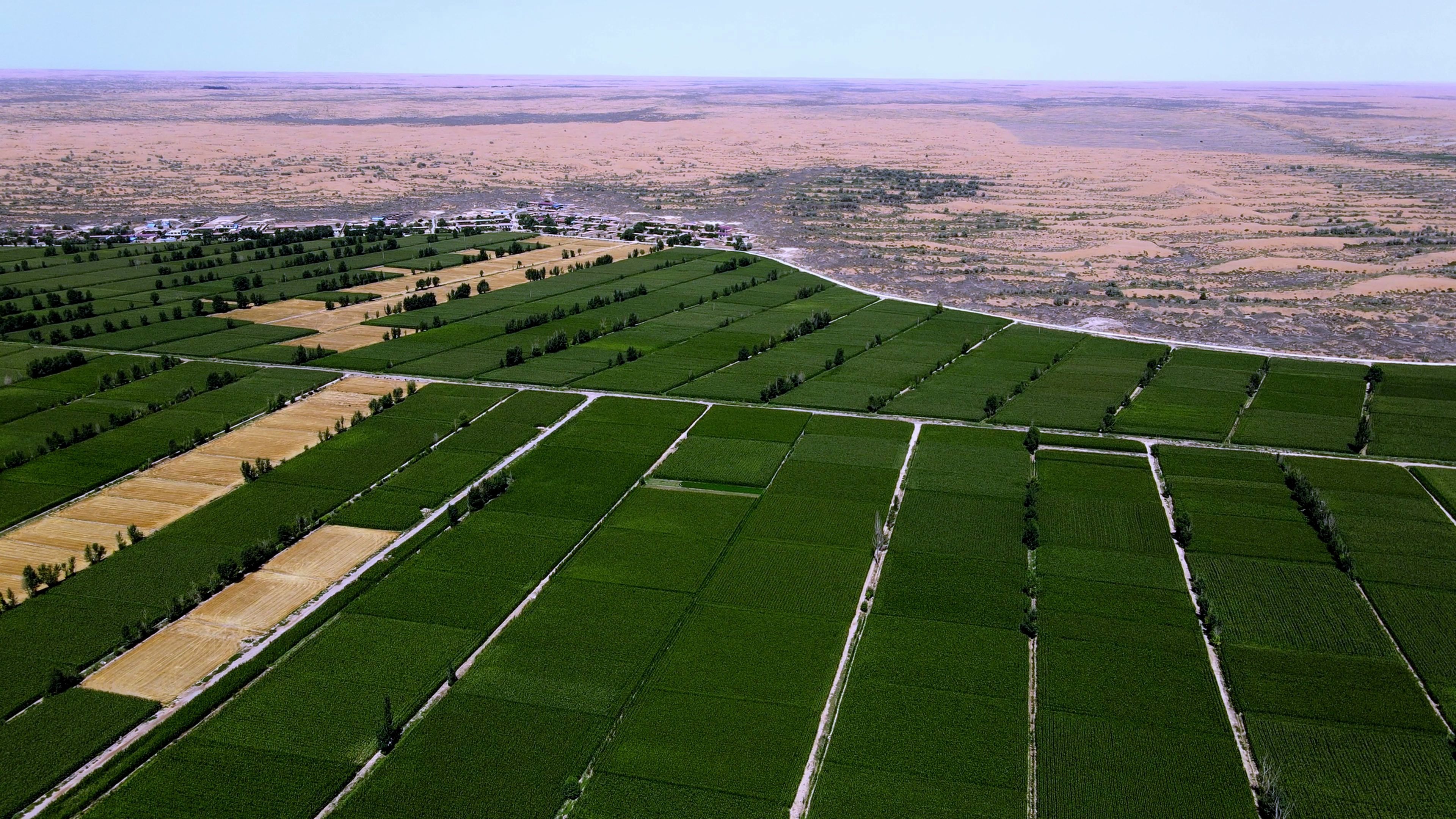 30多年艰苦奋斗腾格里沙漠变良田_哔哩哔哩 (゜-゜)つロ 干杯~-bili