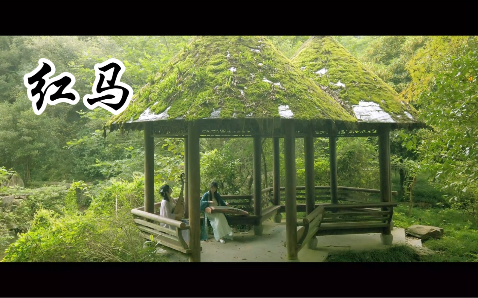 【古筝x琵琶】演奏古风歌曲【红马】