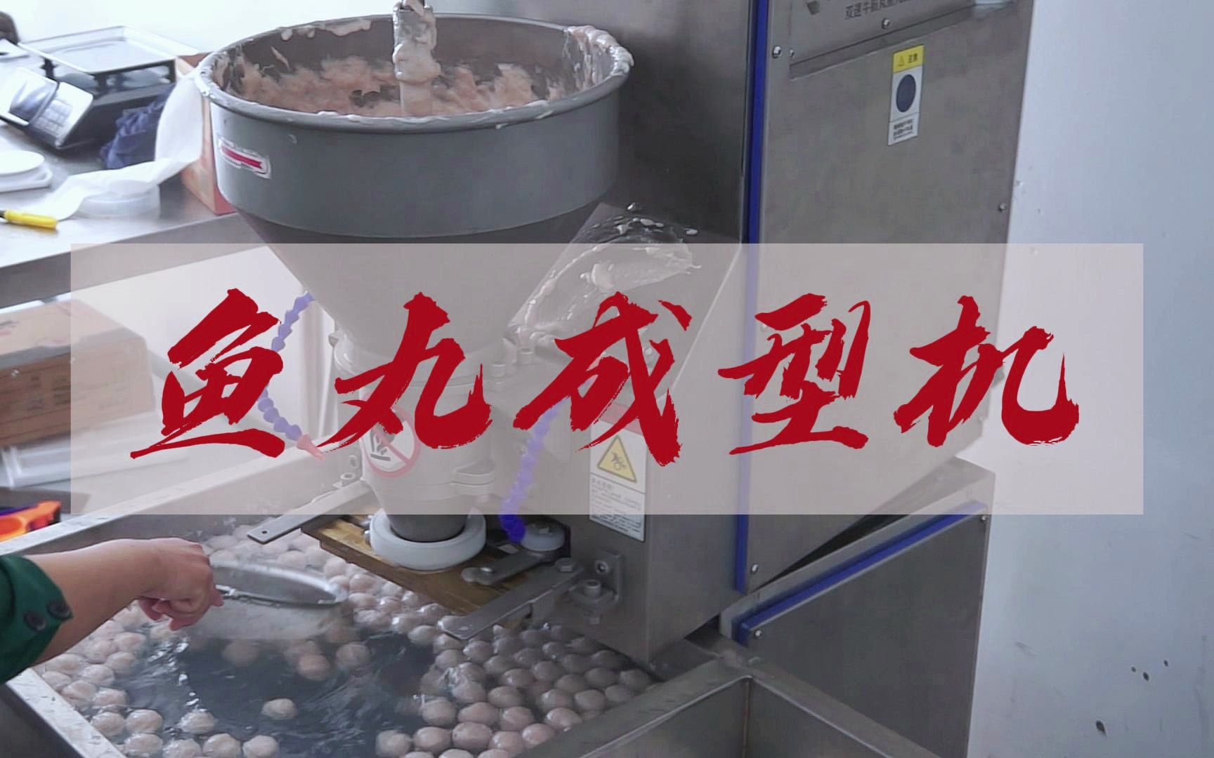大型自动变频调速肉丸成型机摇摆式鱼丸机整套自动丸子加工机器