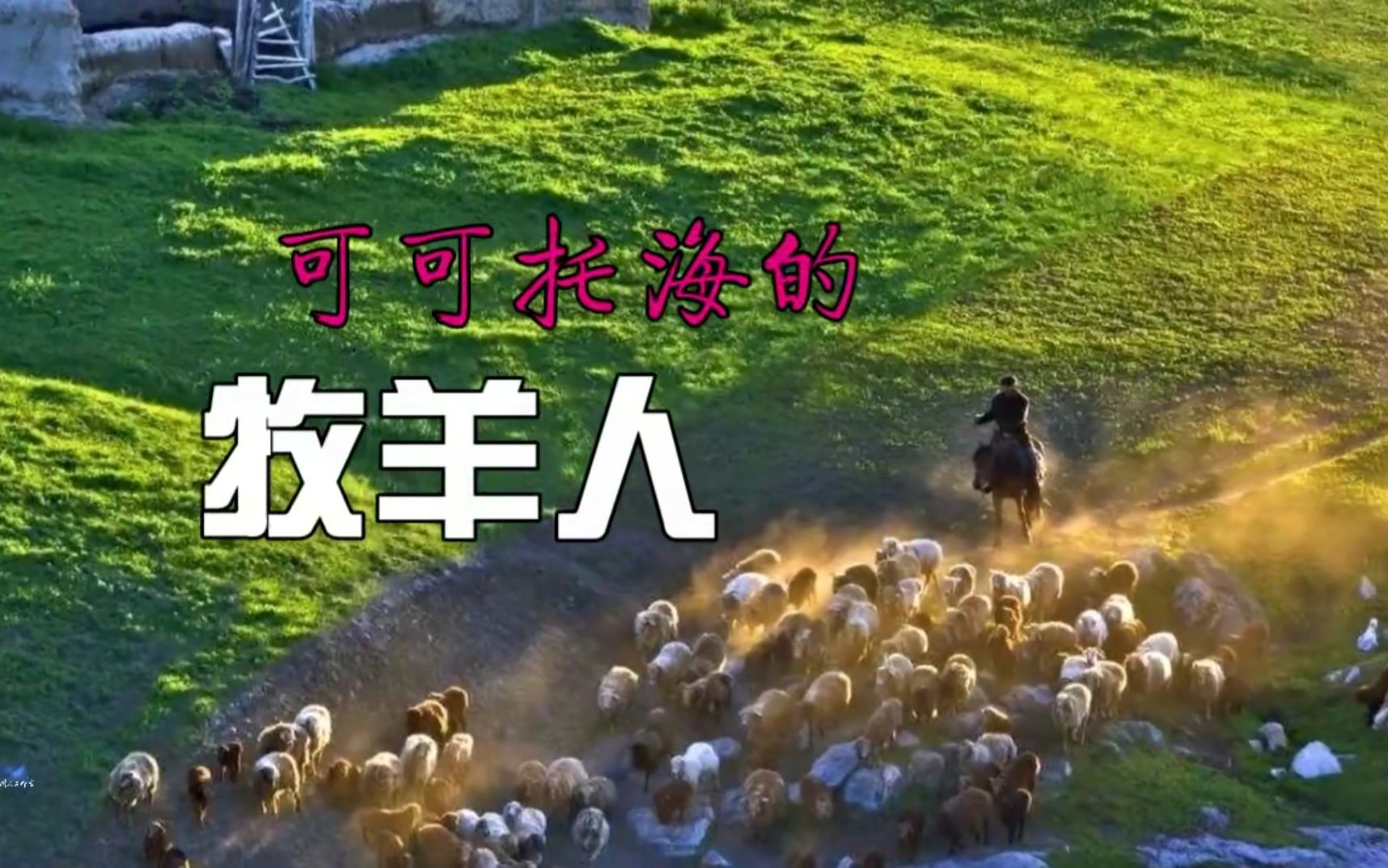 可可托海的牧羊人小提琴演奏版