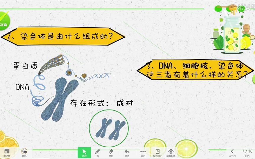 [图]57.初中生物《基因在亲子代间的传递》