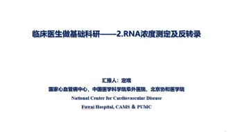 哔哩哔哩