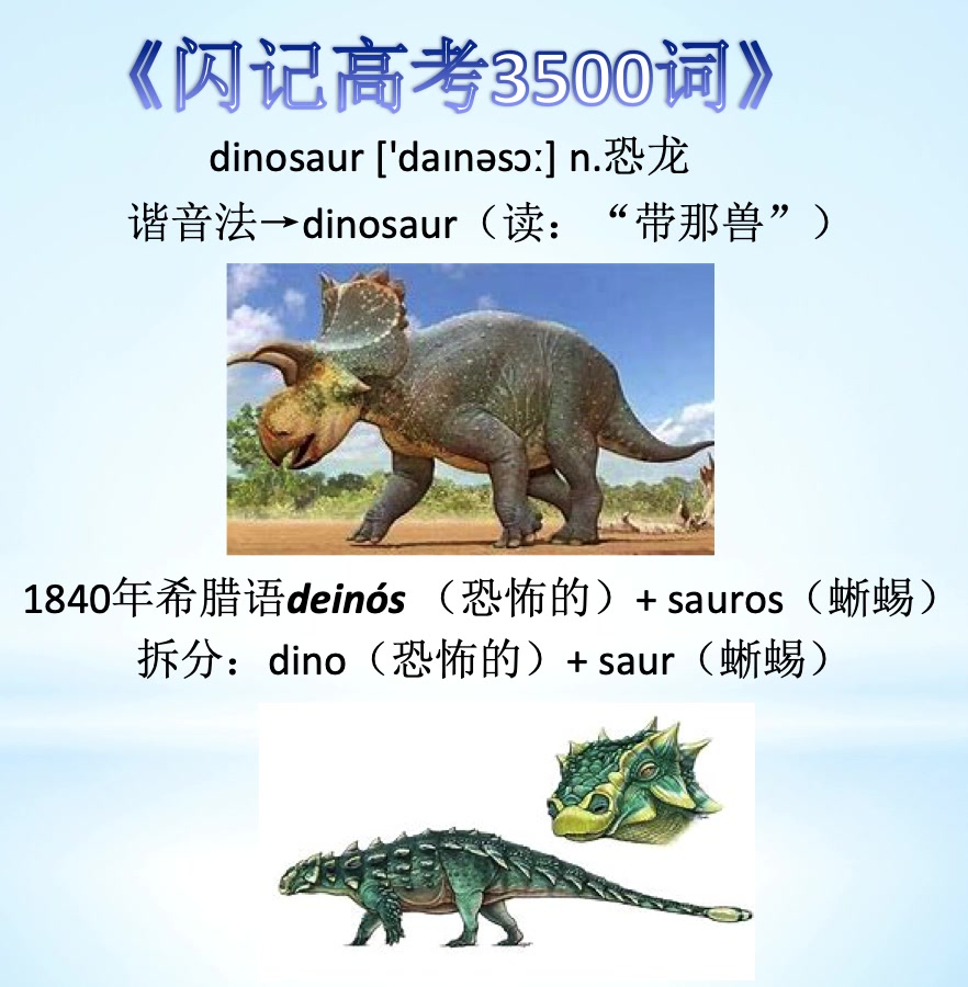 零基础记单词—dinosaur恐龙哔哩哔哩bilibili