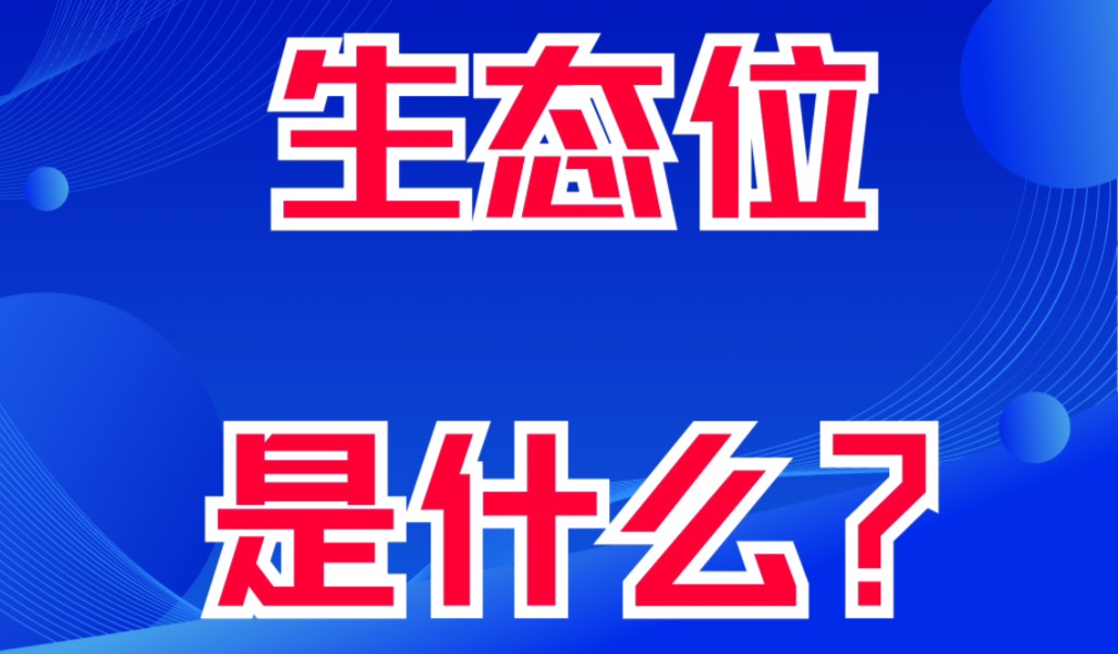 生态位是什么?看过动物世界的人,就不难理解生态位.人也是高级动物而已.这就是一个弱肉强食的动物世界哔哩哔哩bilibili