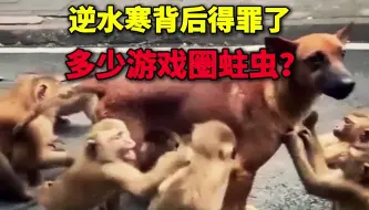 Download Video: 拯救了2亿MMO玩家的逆水寒，背后得罪了多少游戏圈蛀虫？