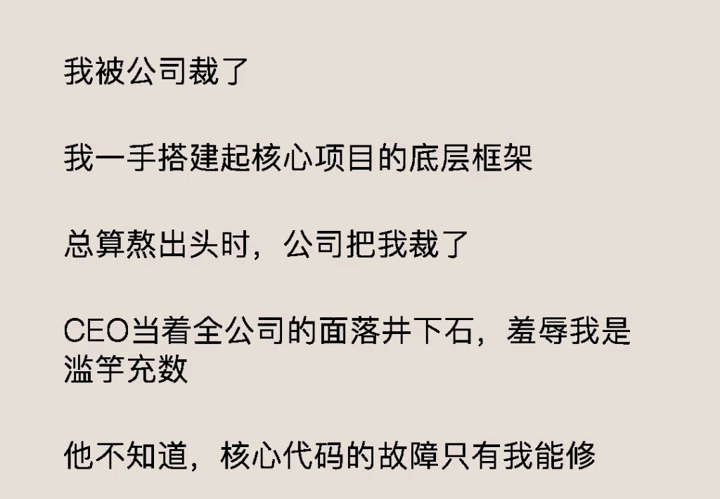 我被公司裁了我一手搭建起核心项目的底层框架总算熬出头时,公司把我裁了CEO当着全公司的面落井下石,羞辱我是滥竽充数哔哩哔哩bilibili