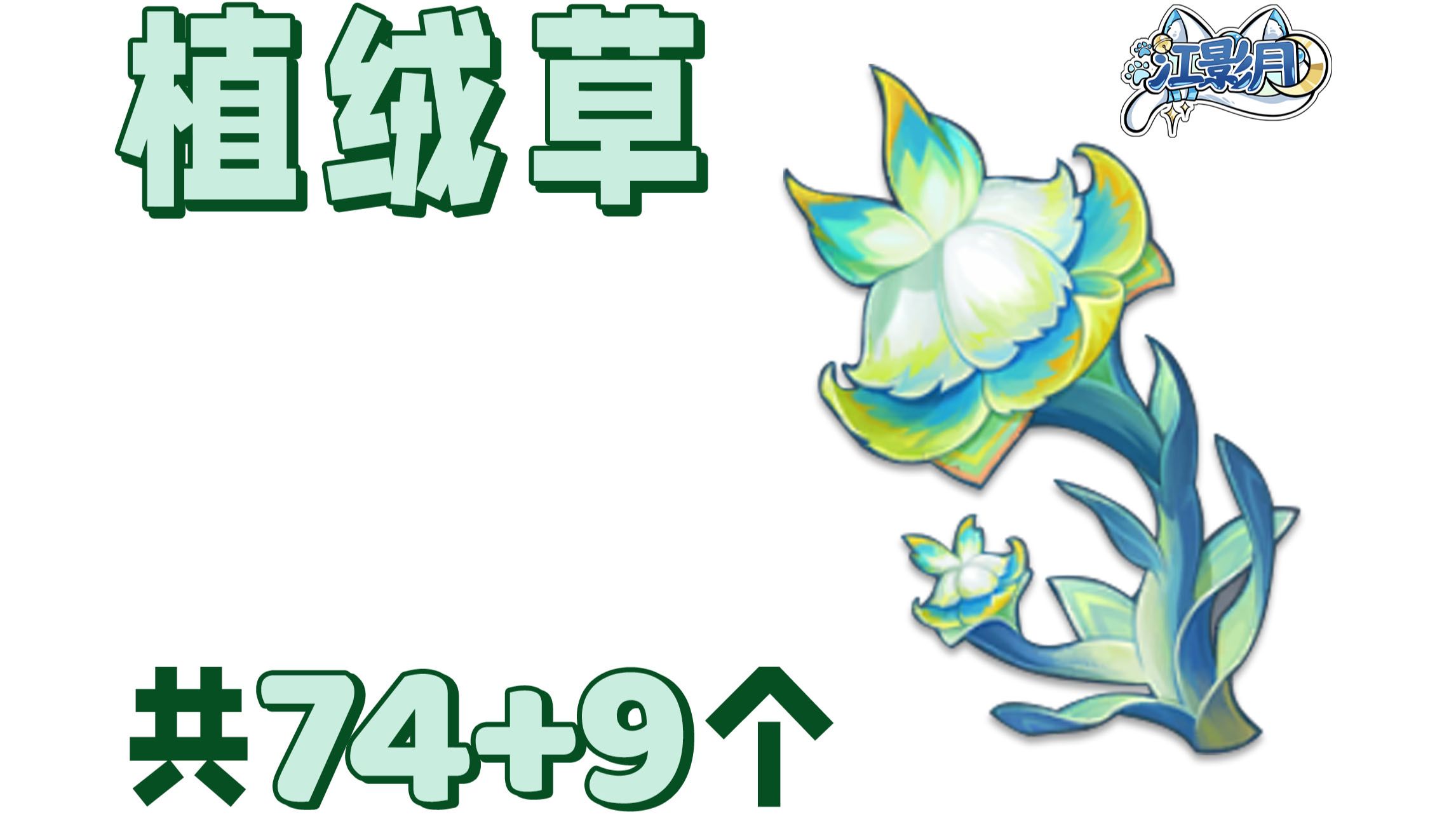 【原神 植绒草】共74+9个！阿罗夏的突破材料/至冬特产/分路线收集/贴心领跑防迷路