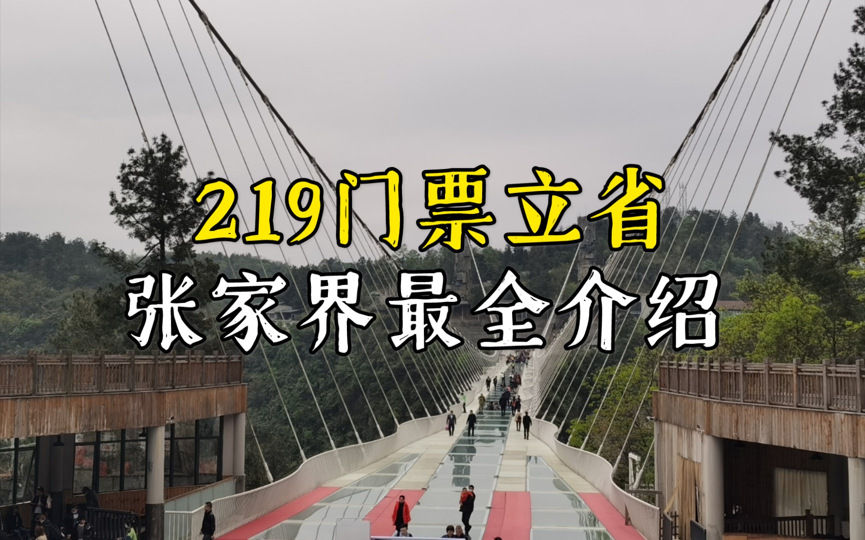 湖南张家界大峡谷最全讲解,妹子累断腿,219元电梯又坐船值吗哔哩哔哩bilibili