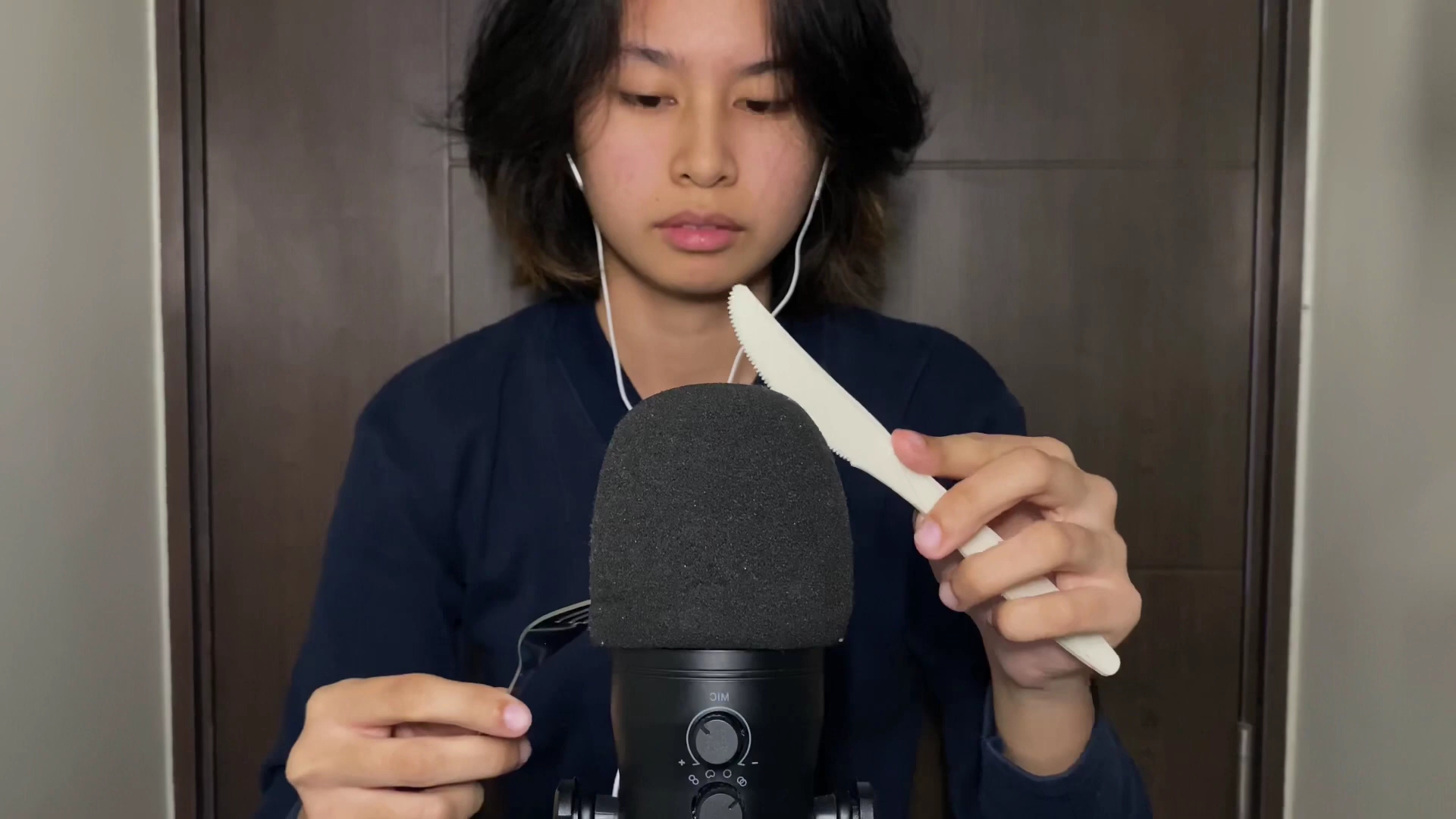 instance asmr 麦克风🎤