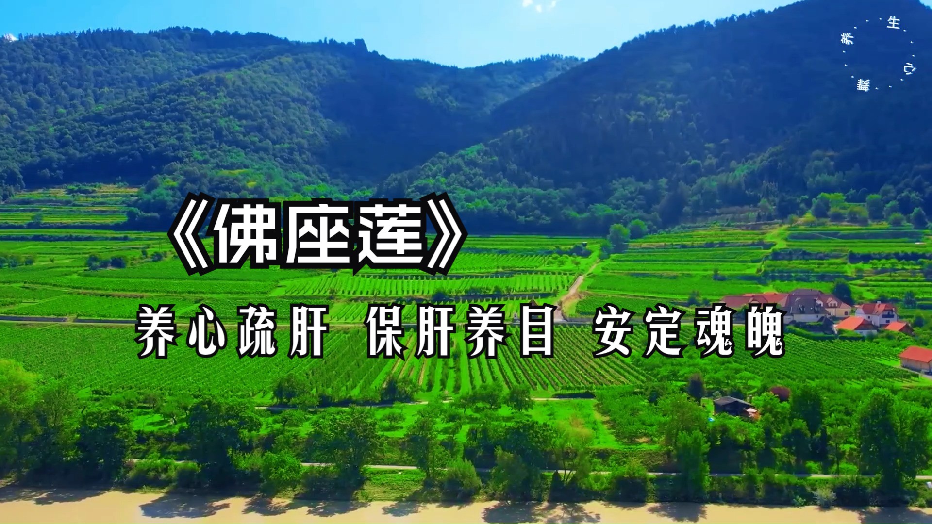 木音养肝 养心疏肝 保肝养目 安定魂魄 助眠安神 养心调神 抑郁、烦燥易怒、失眠健忘等可常听《佛座莲》 解忧减压 放松心情 安神助眠哔哩哔哩bilibili