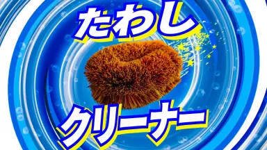 BOTU・BON たけうちてつや演出修正集 ヒガンバナをそだてたよ お疲れ様本 hqdefault.jpg