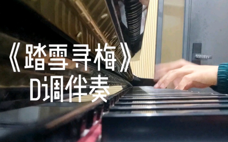 中国艺术歌曲《踏雪寻梅 d调正谱伴奏