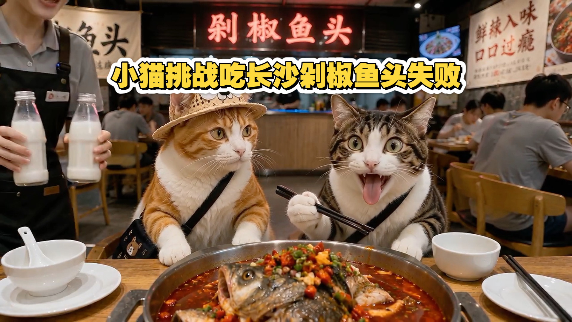 千叮万嘱，小灰去长沙还是吃剁椒鱼头了