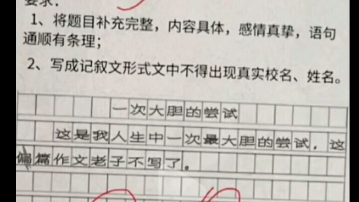 [图]这就是一篇“一次大胆的尝试”的作文