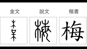 ä¼ ç»Ÿæ–‡åŒ–æ±‰å­—æ¼