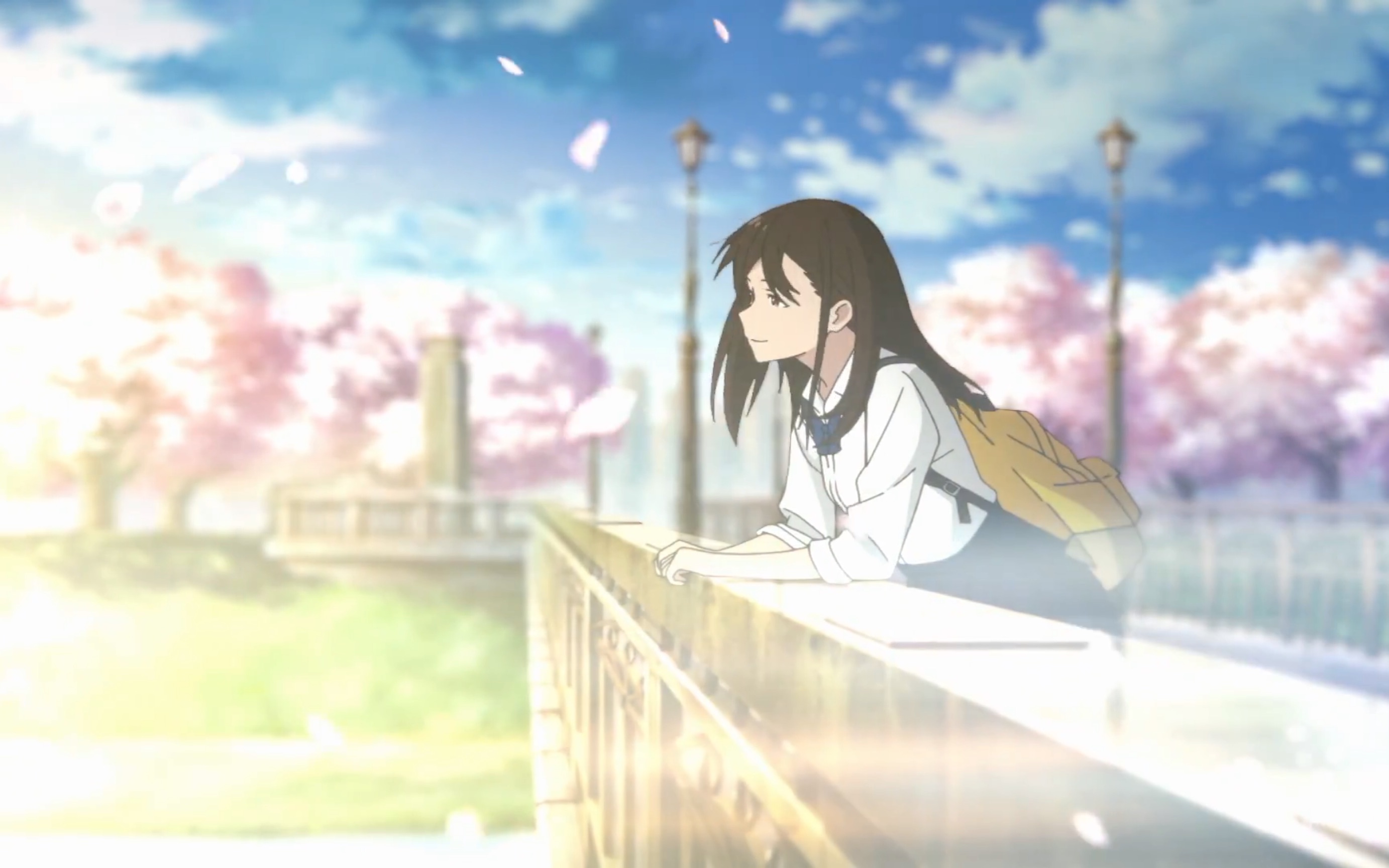 【蓝光/催泪/情怀】我想吃掉你的胰脏~精心制作_哔哩哔哩_bilibili