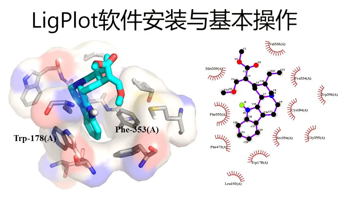 分子对接 二维可视化软件 ligplot 的下载安装与使用 链接：https://pan.baidu.com/s ...