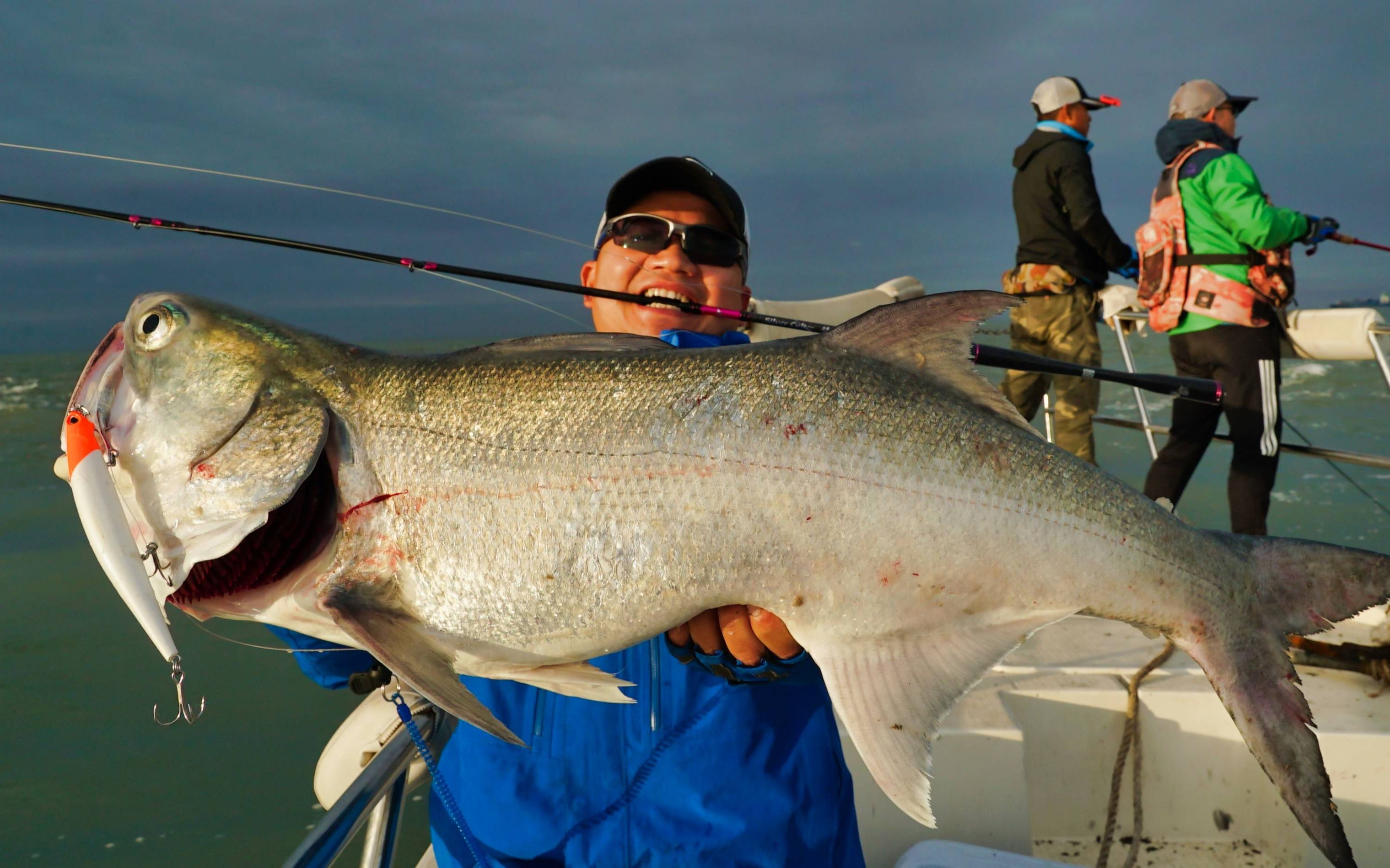 蓝旗鱼路亚从天亮开始爆拉大海鲈大风大雨真的出大鱼