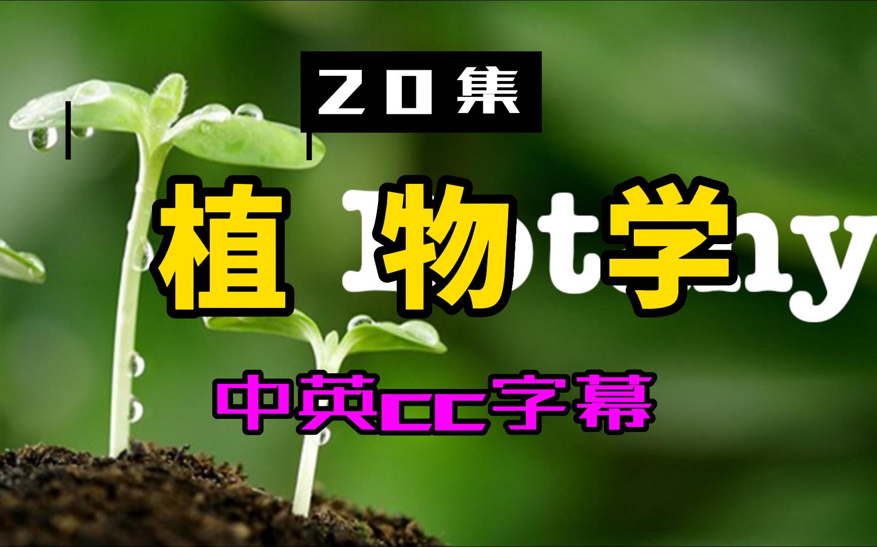 [图]【20集】植物学-生物学=中英cc字幕-生命科学-英语听力口语单词-科普