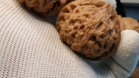 大众情人款,玉玺宫灯狮子头,文玩核桃