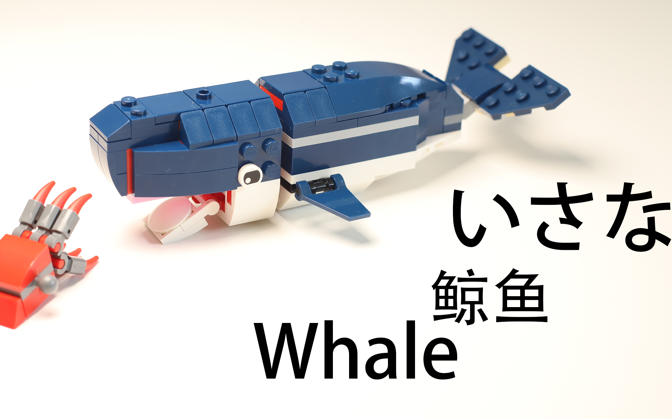 乐高座头鲸图片