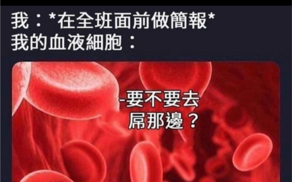 “我:在全班面前做简报,我的血液细胞”沙雕图片【一一五】哔哩哔哩bilibili