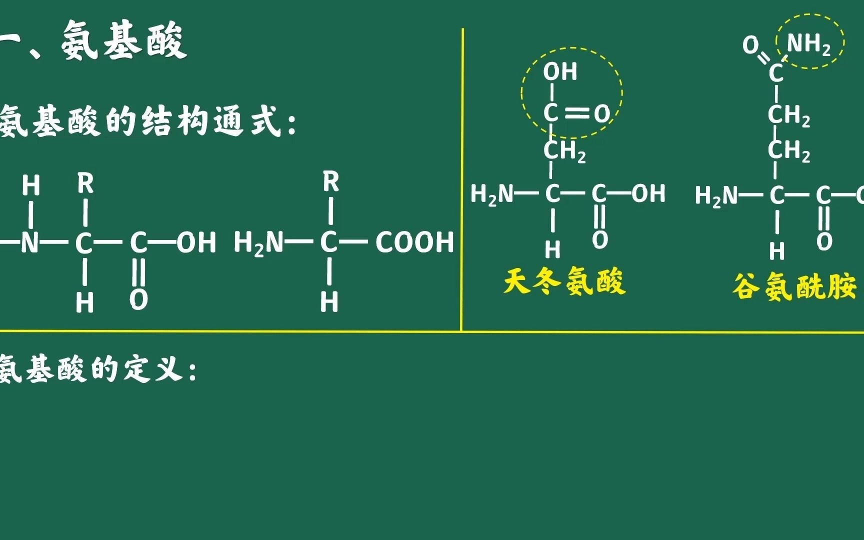 氨基酸脱水缩合结构图图片