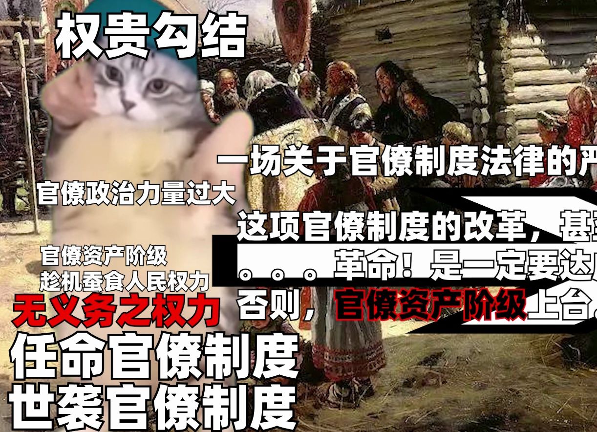 【猫meme】革命委员会哔哩哔哩bilibili