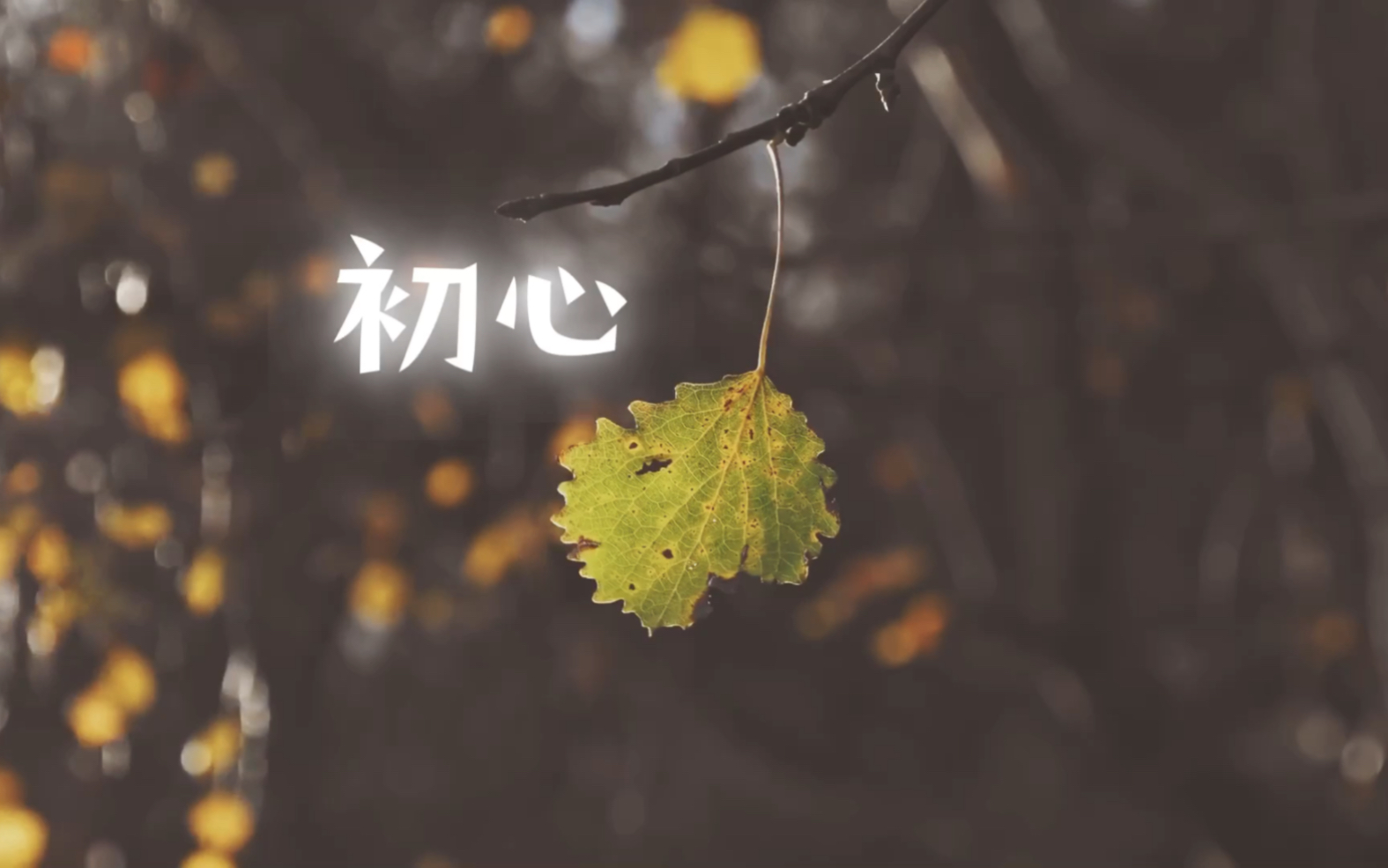 [图]《初心》（ 原创作品） 词曲：启泽