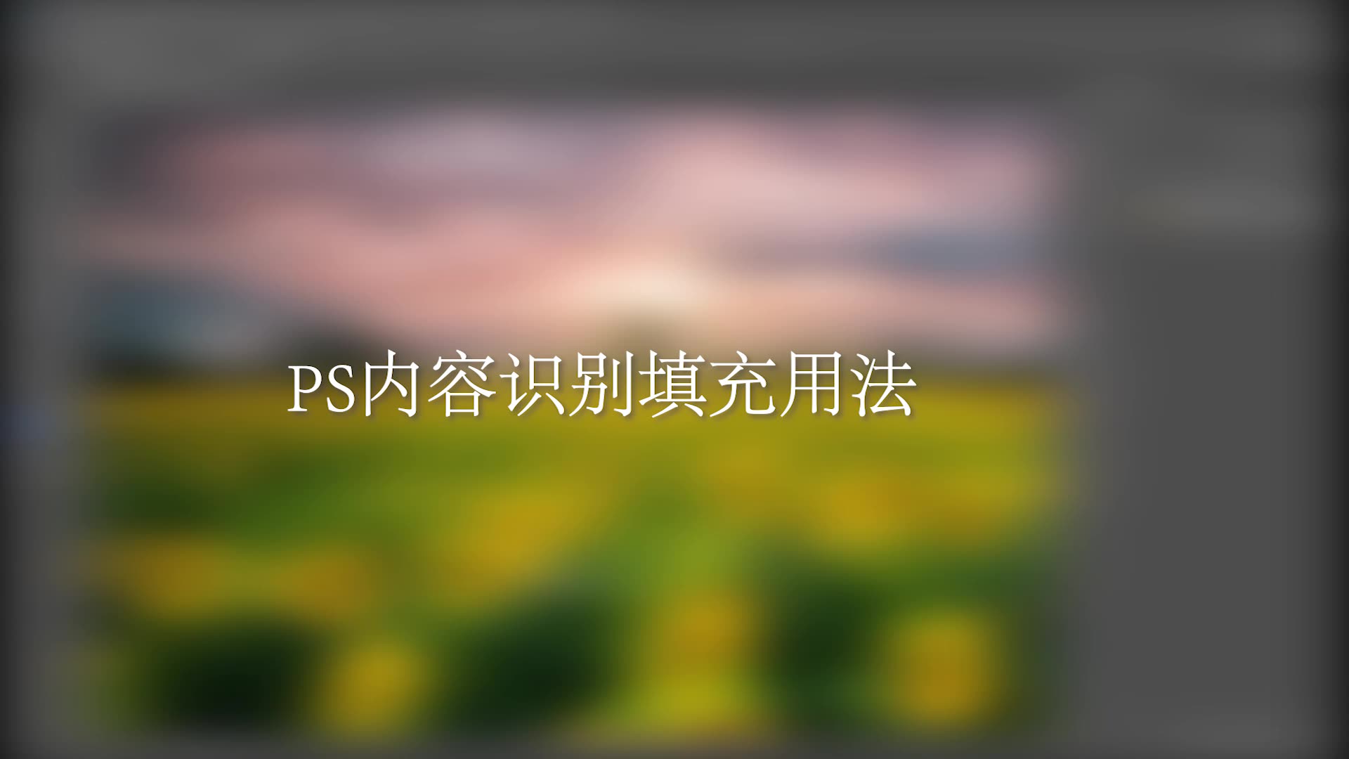 PS内容识别填充哔哩哔哩bilibili