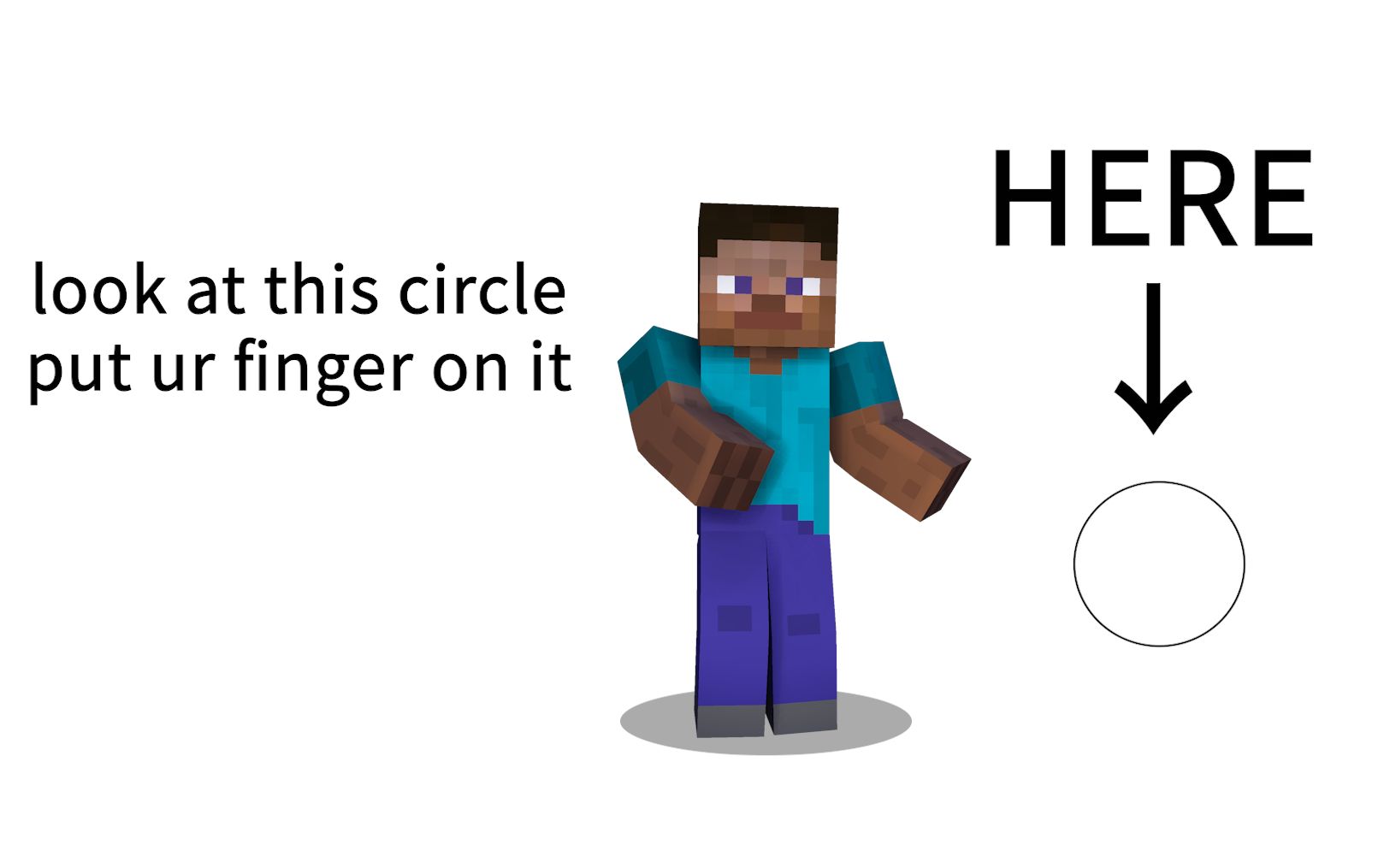 活动作品和史蒂夫一起学英语