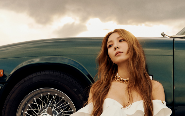 musicvideo收录boa宝儿1