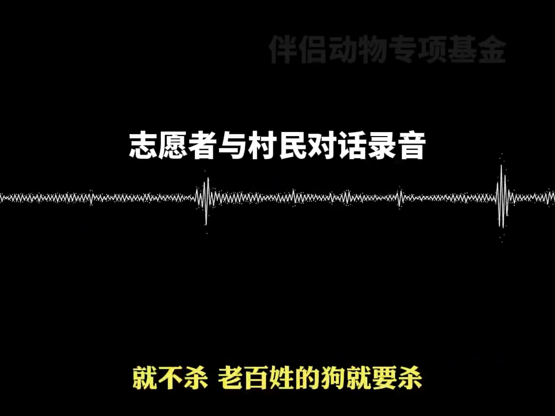 据伴侣动物专项基金透露爱狗大省用流浪狗给烈性犬刷经验哔哩哔哩bilibili